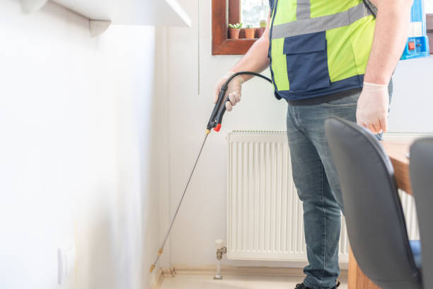 Wasp Removal Services in Belle Plaine, KS